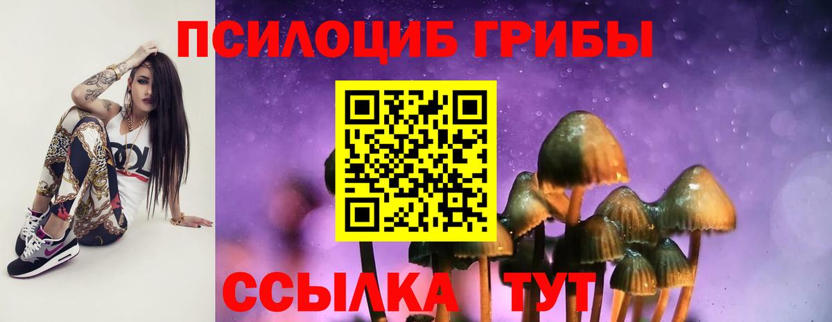 Псилоцибиновые грибы прущие грибы Екатеринбург
